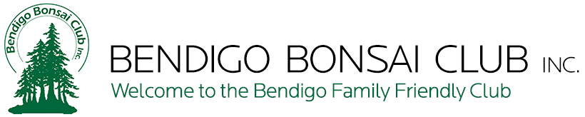 Bendigo Bonsai Club